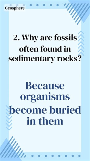 Full Brain Science: Five Questions - 1-Minute Science Quiz (604)