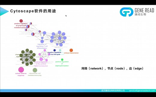 cytoscape软件安装及使用录屏