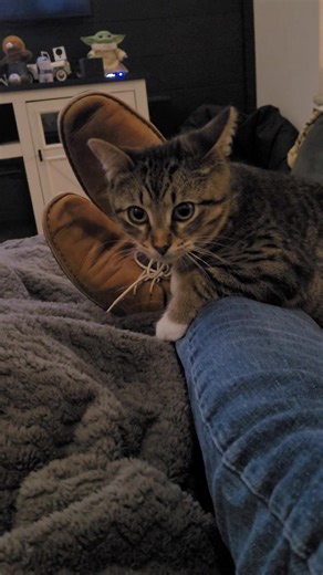 Good morning WIXY family. #auggie update Catsnap #adoptdontshop | WIXY 100.3