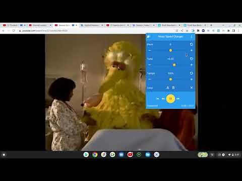 Big Bird Crying From Sesame Street