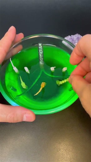 Pulling 10 worms Out of Jelly | Oddly Satisfying ASMR