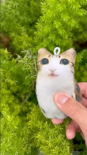 How’s your knee😺#meowl #memes #catmemes