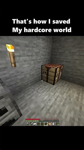 That's how I saved my hardcore world...😉