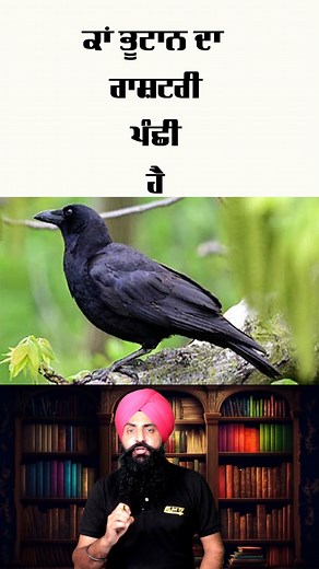 59K views · 3.5K reactions | random facts part 257 #facts #amazingfacts #fact #funfacts #amazingfact #learnfacts | Jot Tv Media | Facebook