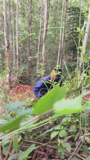 #Favorite of Second Brother in the Popularity Incentive Program# Lithium Chainsaw#pingguoxiaoyanchil