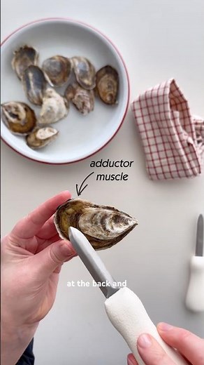How to Shuck Oysters Perfectly Every Single Time #oysters
