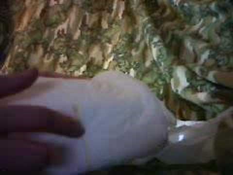 assurance diapers review