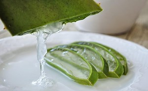 Conoce 10 beneficios del aloe vera para tu piel y cabello