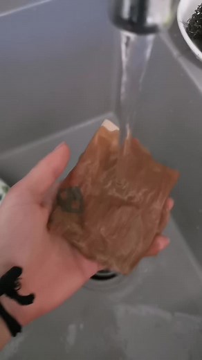 So funny! #crazydog #jackrussel #tiktokdog #dogcomedy #funnydog #dogsoftiktok #tiktokdogs #fyp