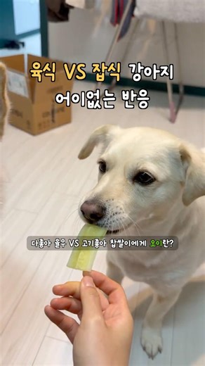 Difference between carnivorous and omnivorous dogs