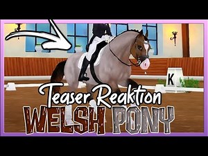 Sandy REAGIERT auf das *neue* WELSH PONY 🐴✅ SSO Teaser