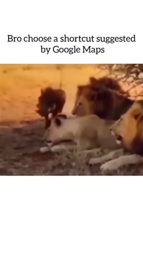 𝐕𝐢𝐛𝐞𝐕𝐞𝐫𝐬𝐞 | In late 2022, Reddit users began reporting an unsettling anomaly now referred to as the “Time-Loop Voicemail” phenomenon-messages that... | Instagram