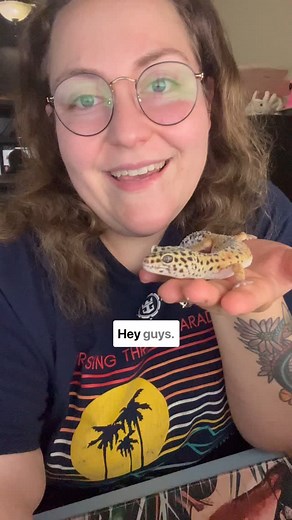 🐍 WE’RE LOOKING FOR VOLUNTEERS! 🦎 A Shedding Chance Reptile Rescue Inc. is growing, and we’re on the lookout for three amazing, reptile-loving humans to join our team! 💚 🛻 Reptile Expo Representative Help represent our mission at reptile expos in White Plains, NY • Rhode Island • Massachusetts. 📍 Must be 21 , live in CT, have reliable transportation, and be okay with occasional weekend commitments! 📲 TikTok Content Creator We’re looking for someone who gets TikTok and wants to help us sche