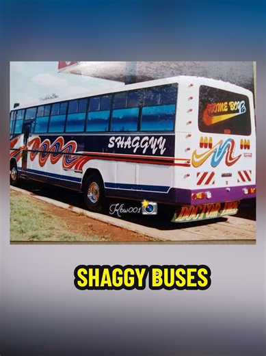 Shaggy Buses: A Moment in Kenya's Transport History