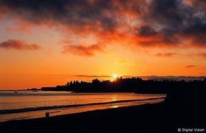 5 Easy Ways to Keep Our Ocean Trash Free