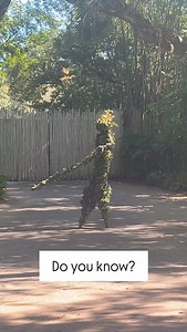 14 reactions · 5 comments | Well! | Diana Ross | Facebook