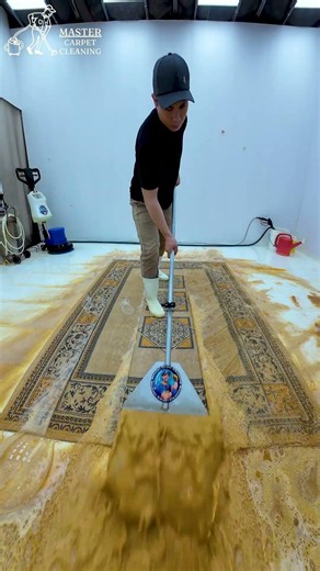 This rug hadn't been cleaned in years… here's what happened. #relax #satisfying
