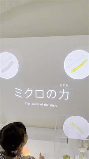 電力館の「ミクロの可能性」って何？実は「水素細菌」でした【EXPO2025】