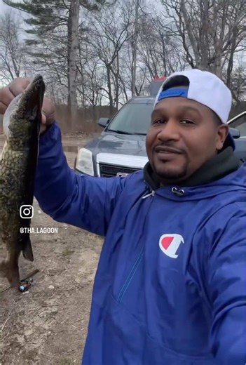 Chain Pickerels on light tackle >>>>>>> #fishinglife #fish #fishing #fishtok #fyp