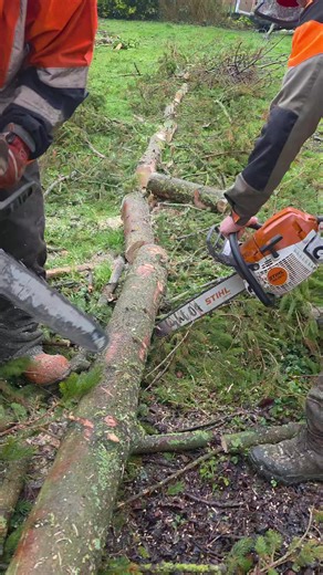Stihl vs. Husqvarna: Which Chainsaw Reigns Supreme?