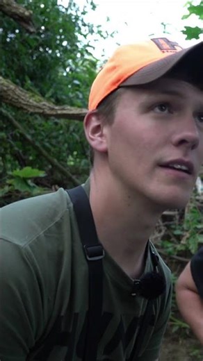 Bachforelle verschlingt Topwater - Köder #fishing #browntrout