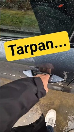 This is how keyless entry works in the Cupra. Awesome! #cupra #formentor #keyless #pavrick