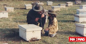 «Ο Μελισσοκόμος»: Ένα ψυχογραφικό road movie από τον διεθνή Έλληνα σκηνοθέτη, Θόδωρο Αγγελόπουλο | Κινηματογράφος