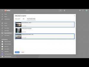 How to Add Many videos to a Youtube Playlist all at Once