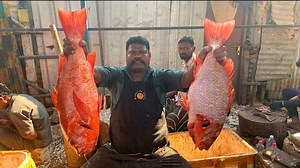 101K views · 1.2K reactions | 20kg biggest red snapper fish cutting10 mins knockout speed cutting skillskf fish cuts | KF FISH CUTS | Facebook