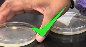 Aseptic technique