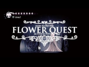How to do the Delicate Flower Quest - Hollow Knight