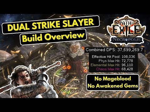 Strength Stacking Dual Strike of Ambidexterity Slayer Build Overview & Guide Path of Exile [3.24]