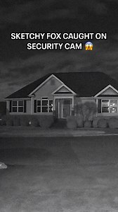 21K views · 184 reactions | just wanted to alert the community to some suspicious activity #Dora | Dora the Explorer | Facebook