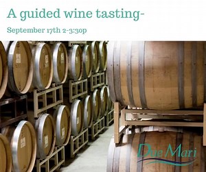 1.1K views · 12 reactions | A guided Loire Valley Wine tasting- at...