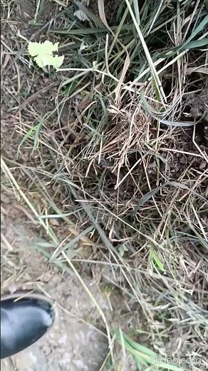 stuck in mud :) | boots walking in mud, getting dirty