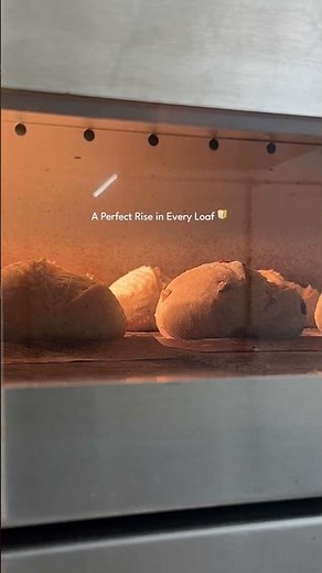 Sourdough Bread Time Lapse | Bread Rising in Oven