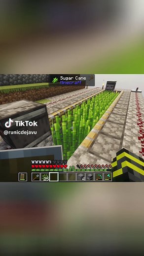 Automated Sugarcane Farming in Minecraft