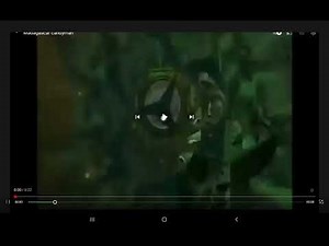 Madagascar Candyman Speed Up Fast 2x