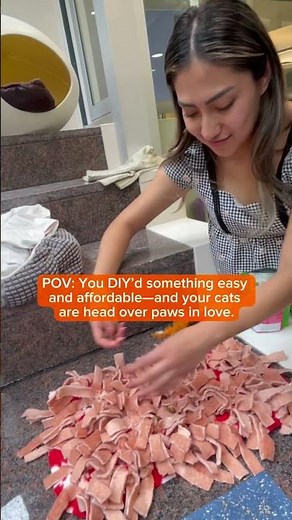 🐾 DIY snuffle mats = fun, low-cost enrichment for shelter cats!🐱