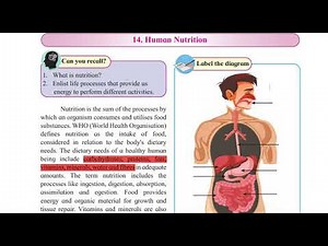 11 Biology: Chapter 14: Human Nutrition: Introduction