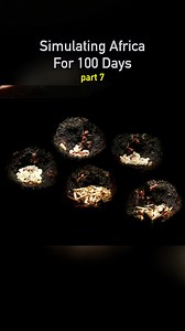 Simulating Africa for 100 Days pt7 🌵#ecosystem #wildlife #nature #plants #earth #pets #petsofinstagram #aquarium #geckos #africa | Dr. Plants