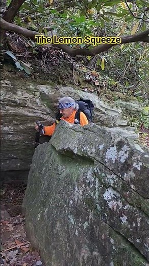 Foothills Trail #hooterhikes #foothillstrail #hiking #nature