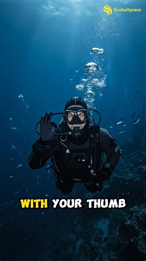 In the silent world of scuba, hand signals are your lifeline. Learn these five essential gestures to communicate clearly with your buddy and ensure a safe, confident dive. Find the right gear to support every dive with ScubaXpress. | ScubaXpress