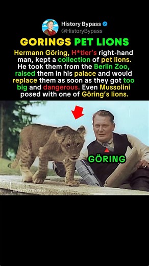 German Leader’s Pet Lions #shorts