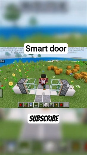 Minecraft smart door 💀