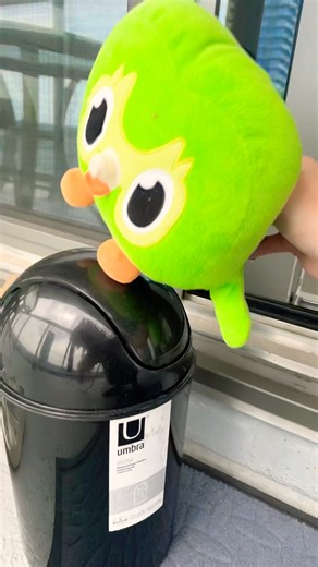 Duo Found Something He Likes 👀