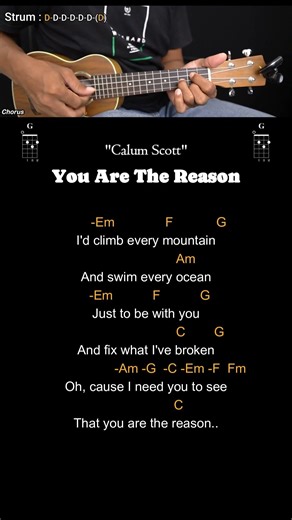 You Are The Reason - Calum Scott - Ukulele Chords Tutorials (Play Along) #ukulele