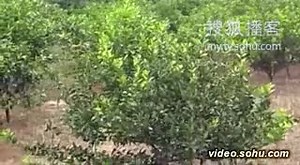 MVI_0024_to_AVI_clip3