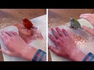 Artist Creates Mind-Boggling Videos With Editing Tricks