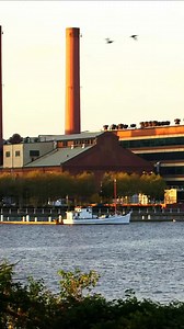 352K views · 20 reactions | Crossover alert: NCIS x NCIS: Origins crack a 30-year-old case TONIGHT! | The NCISverse | Facebook